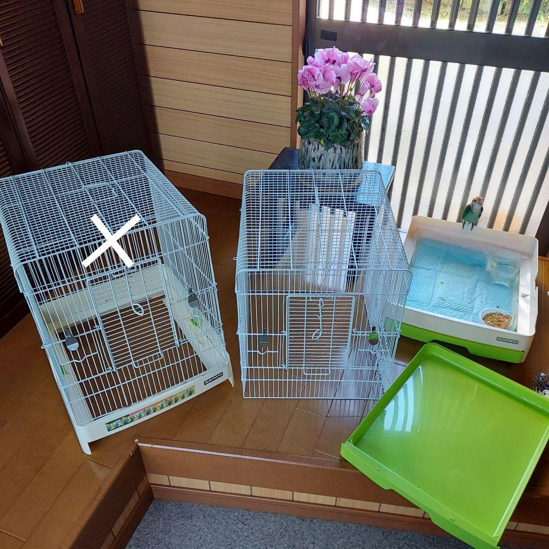 ほぼ未使用　鳥かご　サンコー　Easy  Bird　37-GR　グリーン