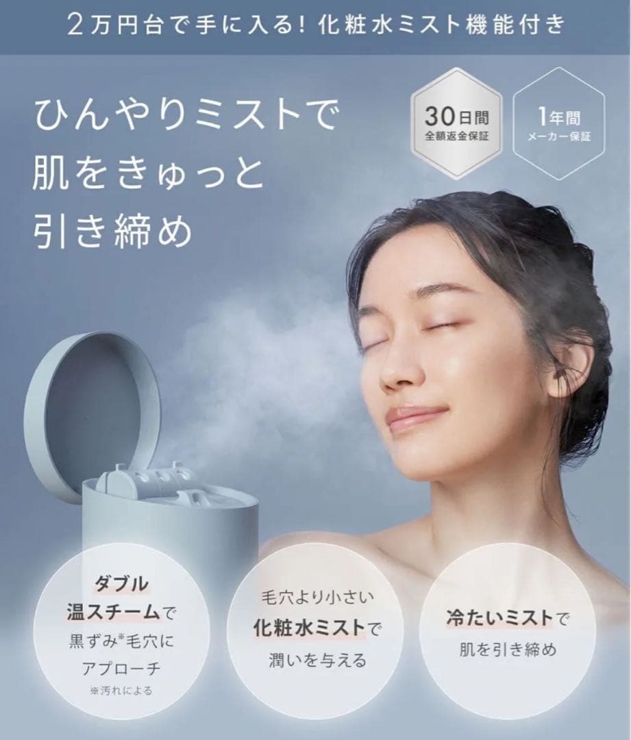 SALONIA サロニア　ピュアブライトスチーマー