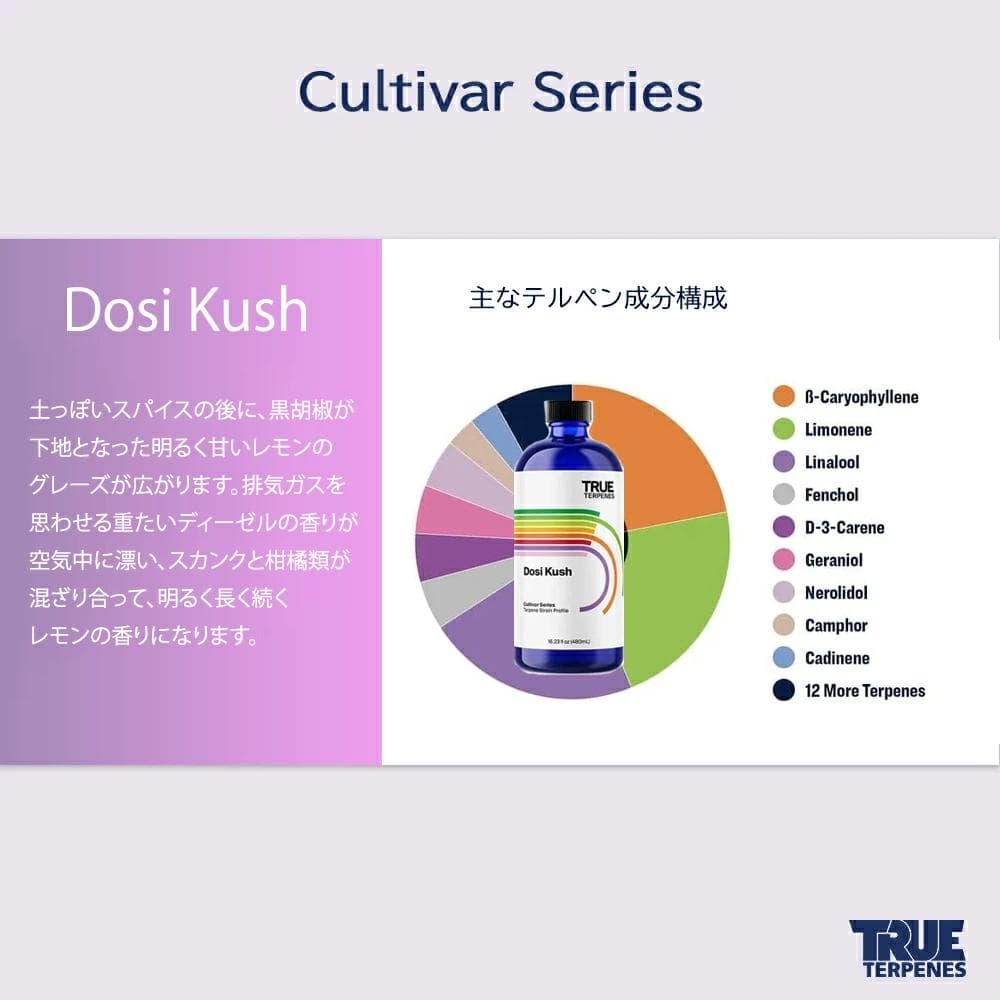 TRUE テルペン 510 CBD CBN CBG 10ml ドシクッシュ