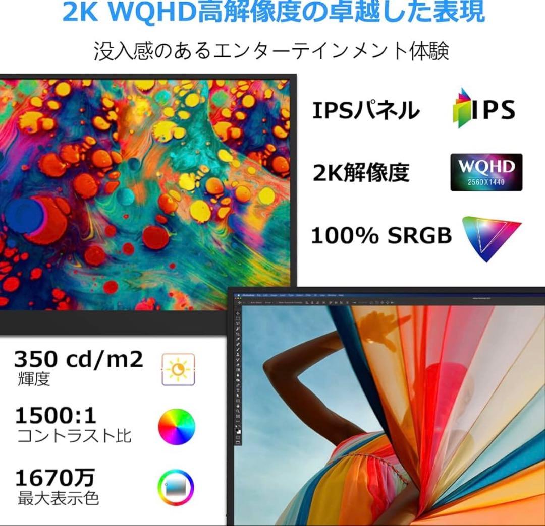 Acouto 17.3インチ 2K WQHD IPSモニター 本体