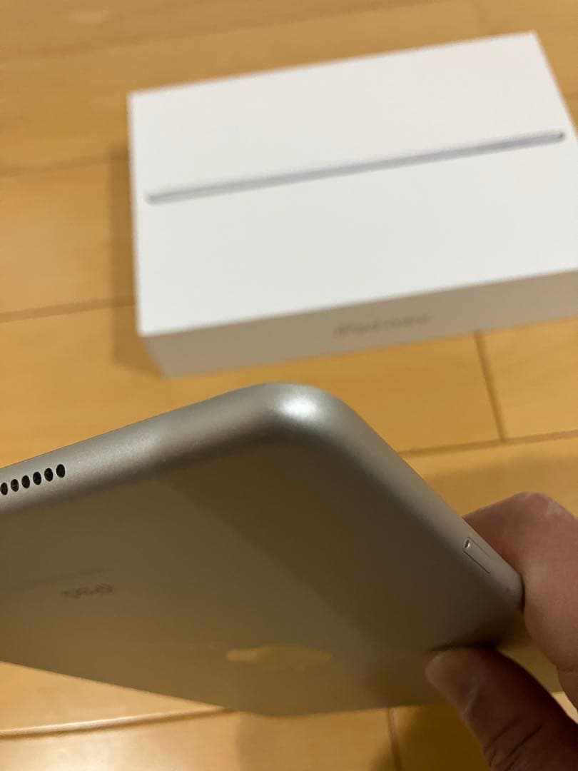 Apple iPad mini 5世代 Cellular 256GB