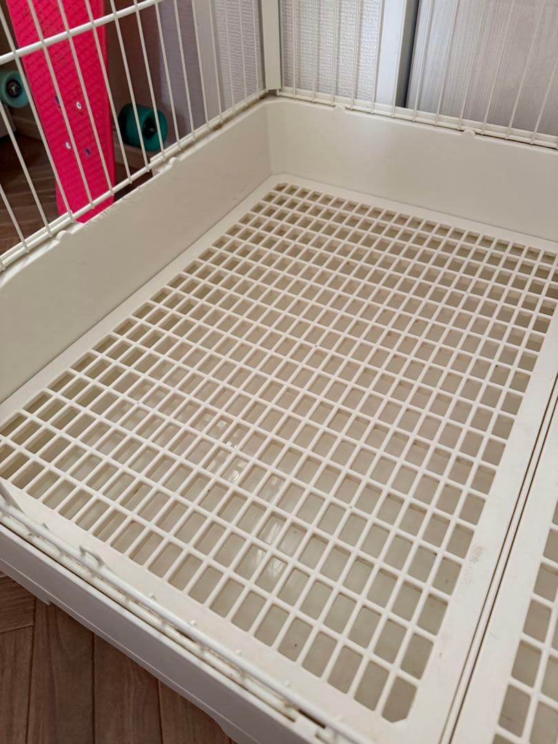 コージーアボード 80 ペットのコジマ購入