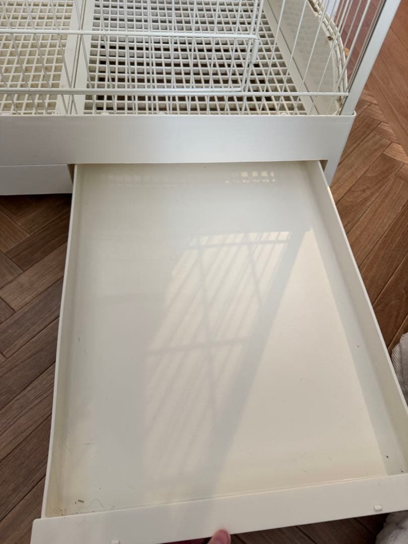 コージーアボード 80 ペットのコジマ購入