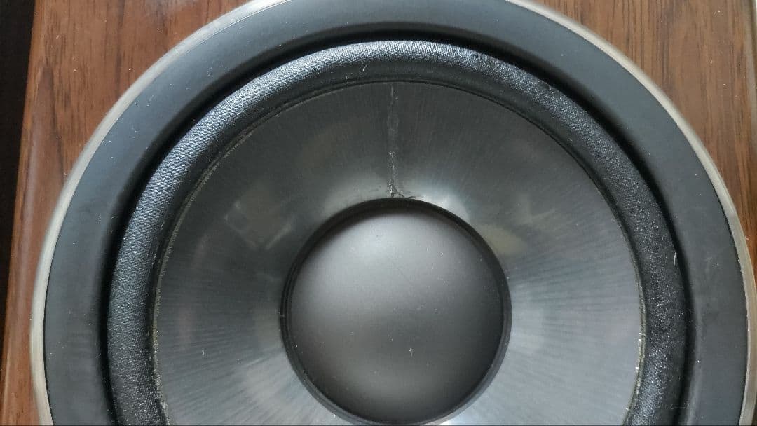 DIATONE DS-300V　ジャンク