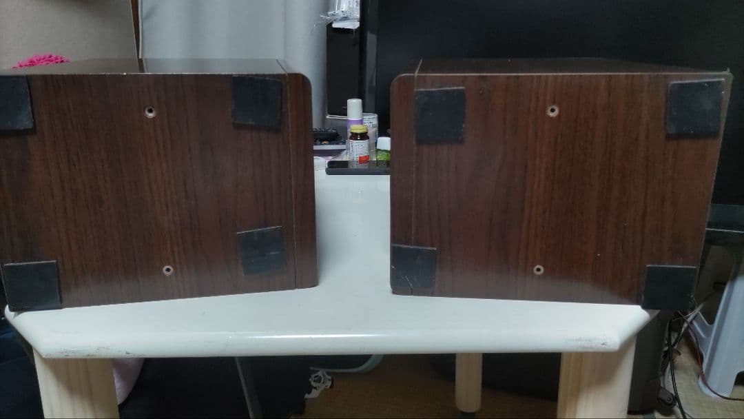 DIATONE DS-300V　ジャンク