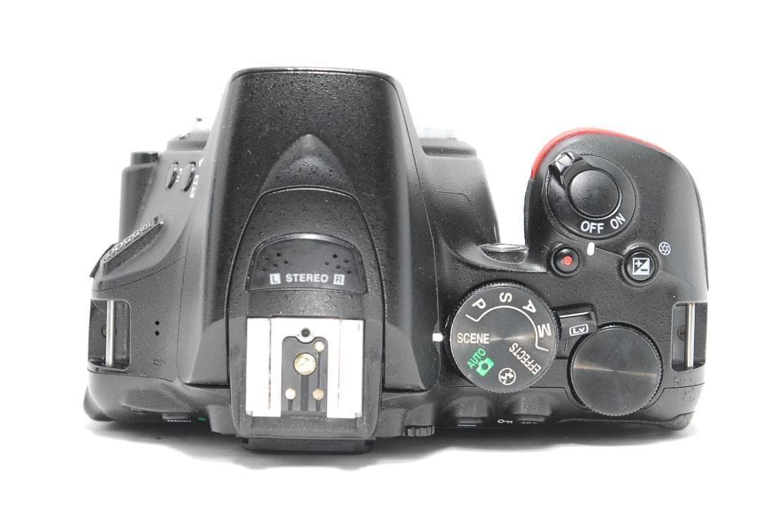 【美品】Nikon D5500　Wi-Fi搭載　すぐスマホ転送　タッチパネル撮影