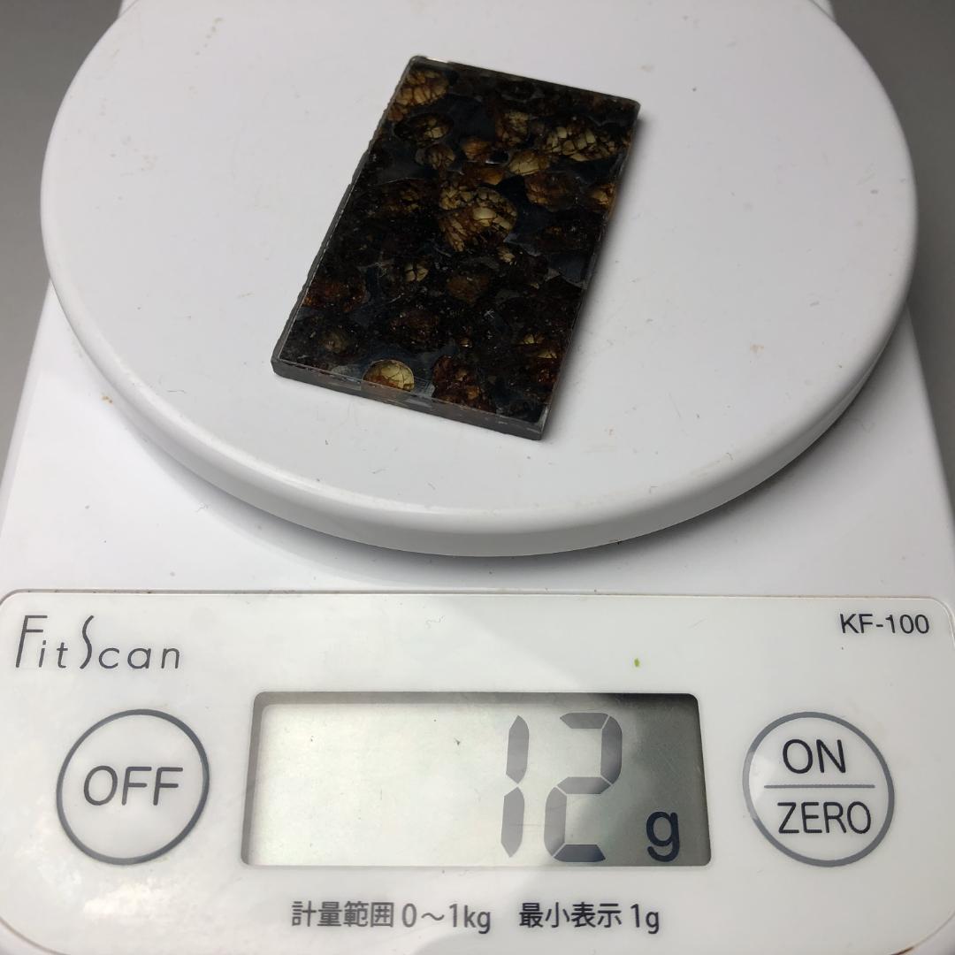 パラサイト隕石 隕石　石鉄隕石　セリコ隕石　重さ約12ｇ　ケース付