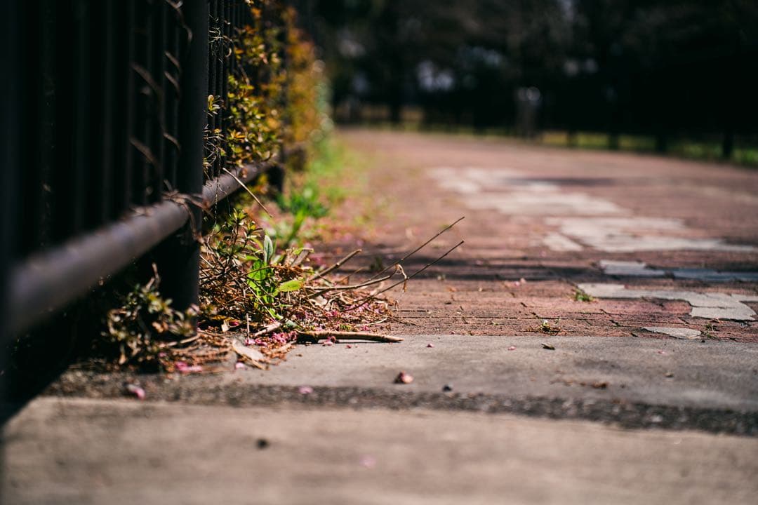 SONY α7III ボディ[ILCE-7M3]