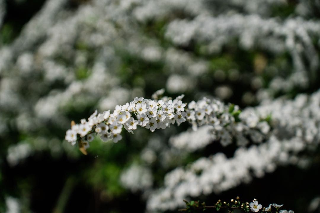 SONY α7III ボディ[ILCE-7M3]