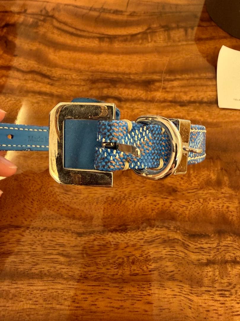 GOYARD 犬用カラー ACHC-EDMON-N-310-10