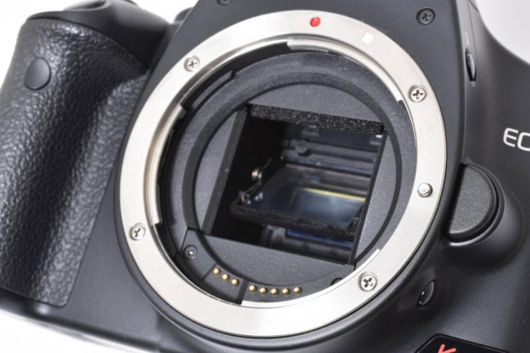 Canon EOS KissX2 シャッター回数442回！ ＊59
