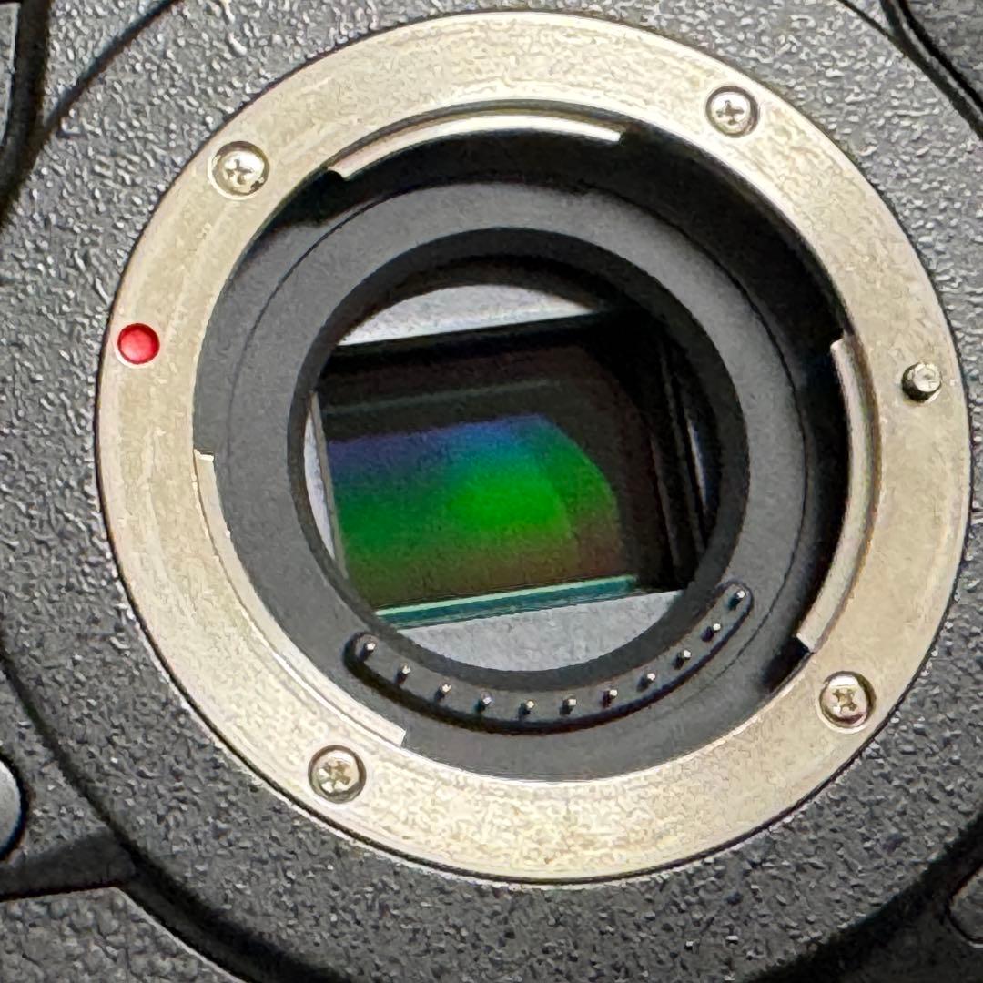 [美品]LUMIX GH5S ミラーレス一眼カメラ