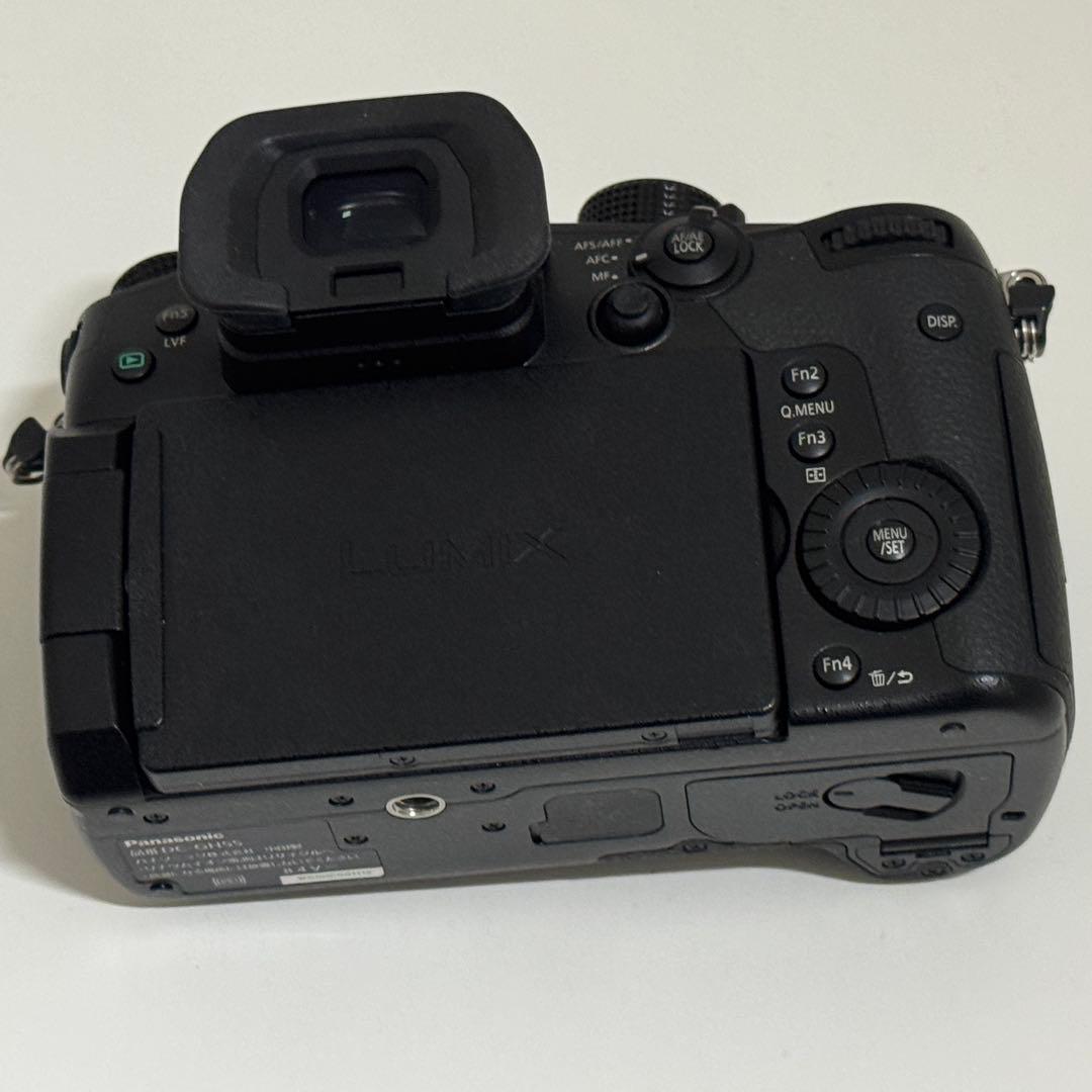 [美品]LUMIX GH5S ミラーレス一眼カメラ