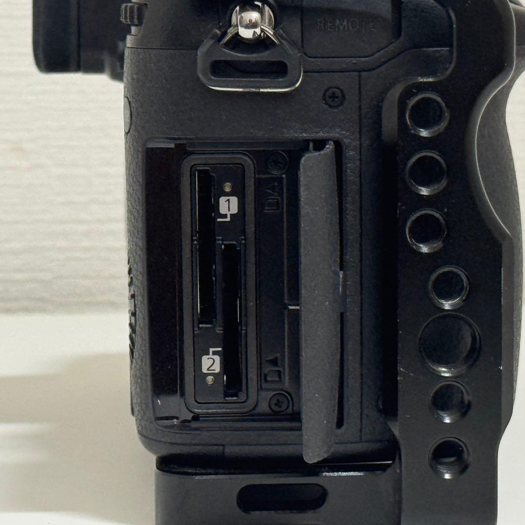 [美品]LUMIX GH5S ミラーレス一眼カメラ