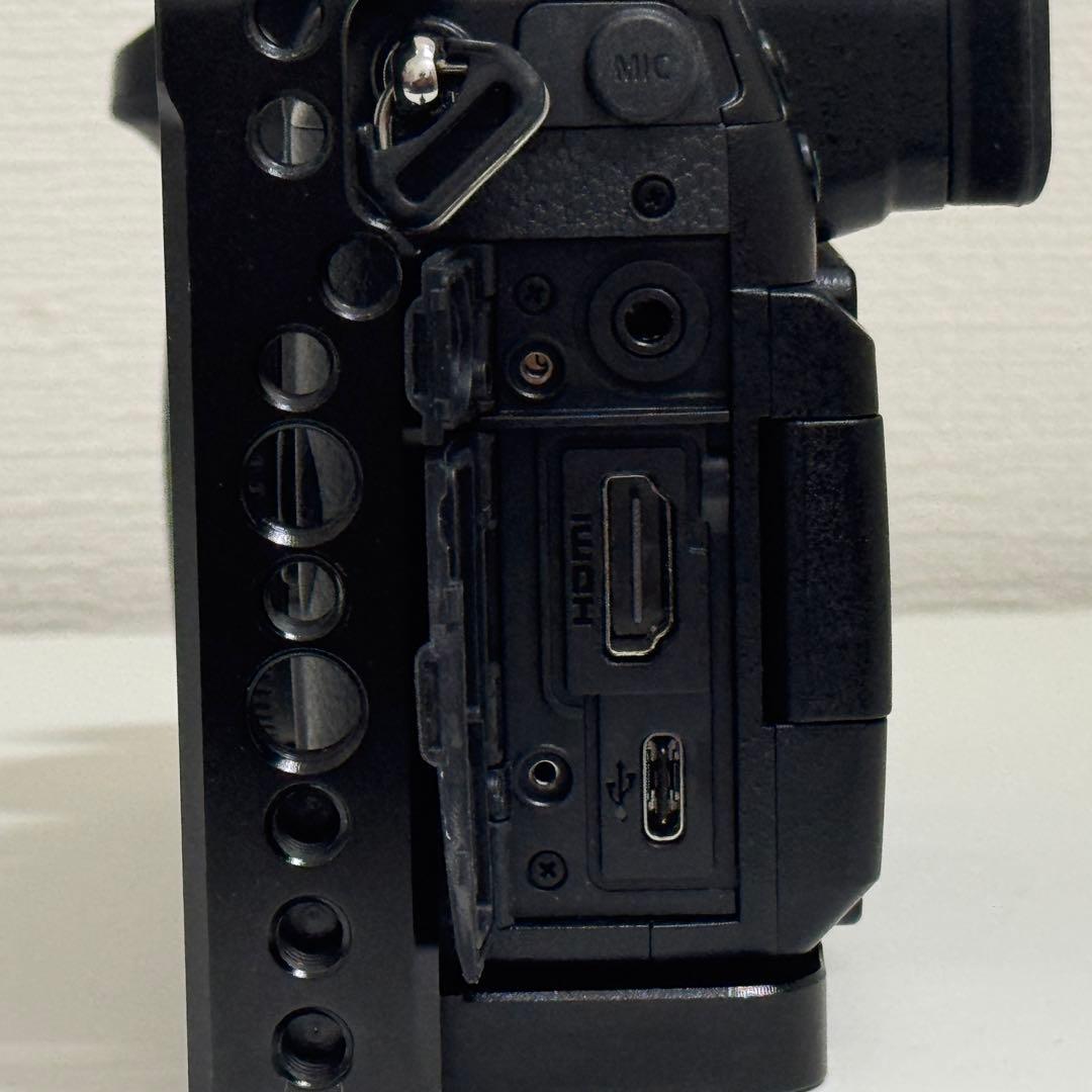 [美品]LUMIX GH5S ミラーレス一眼カメラ