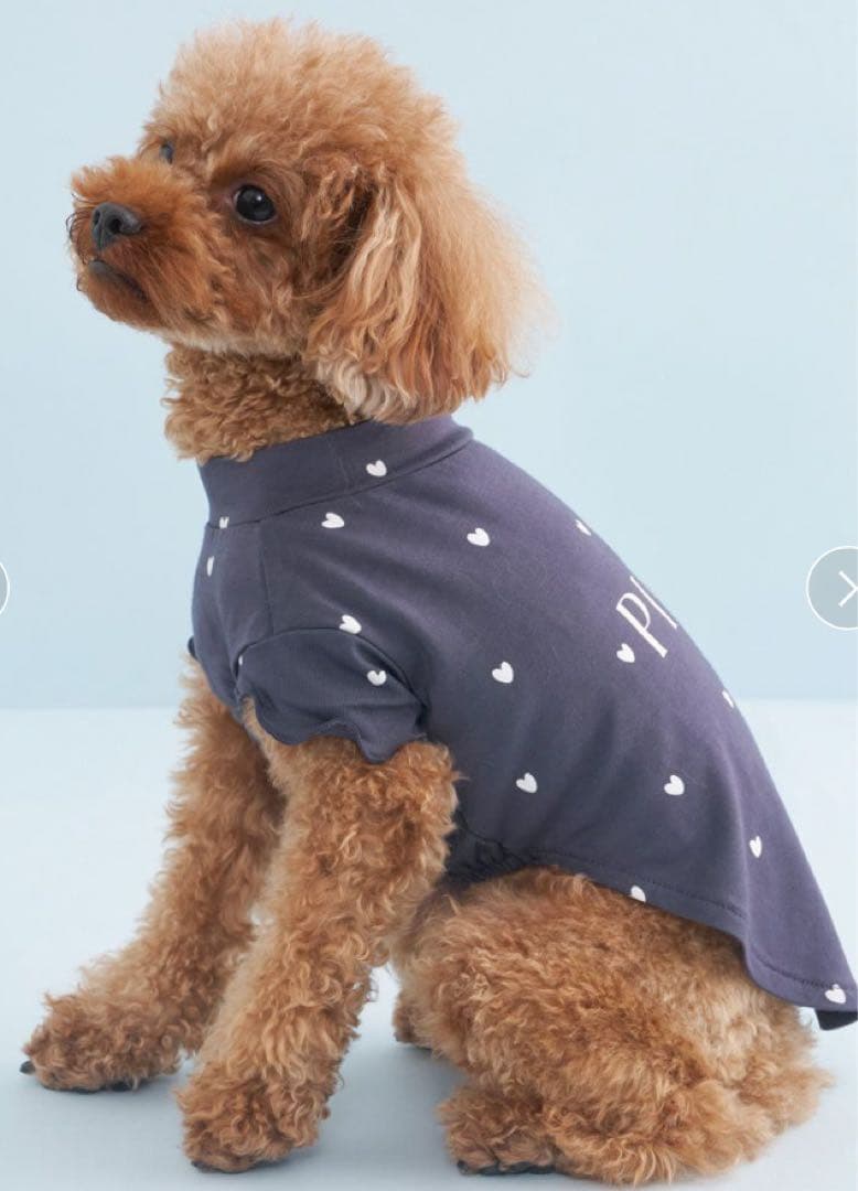 gelato pique ペット　犬服　ハート柄プルオーバー　S 2枚セット