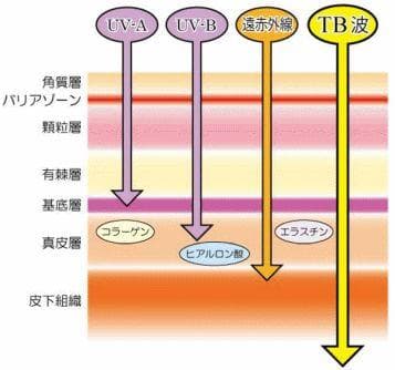 テラヘルツ鉱石を入れたネックレス 長さ50cm オレンジ色