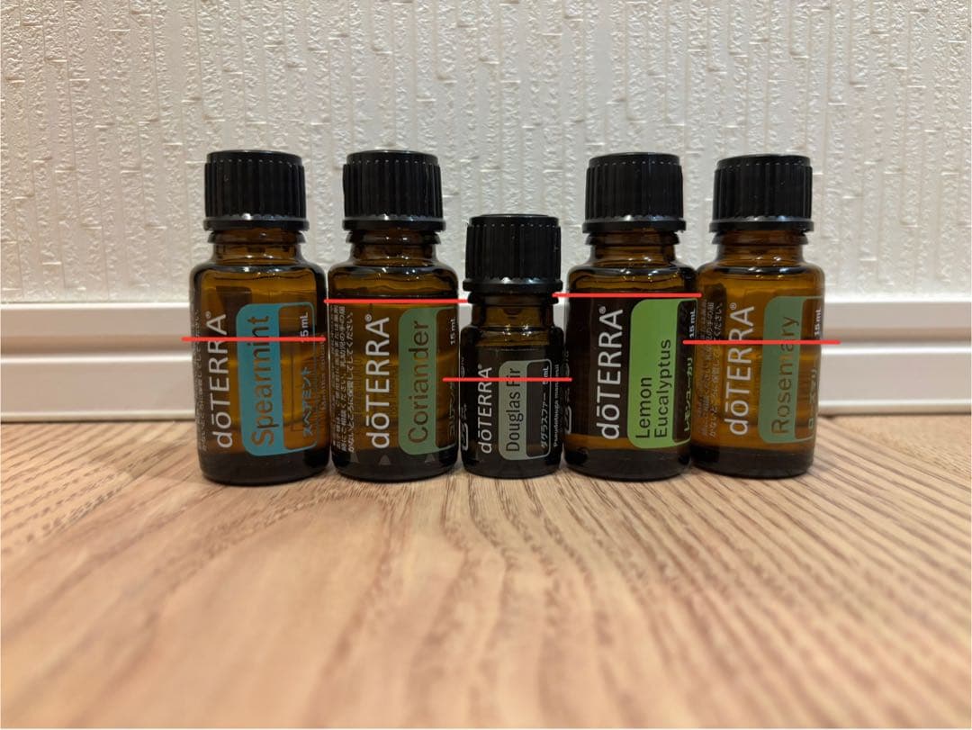 doTERRA エッセンシャルオイル収納ボックス 25本
