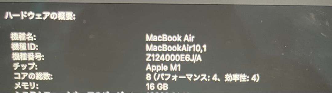 M1 MacBook Air 13インチ16GB(RAM) 256GB(SSD)