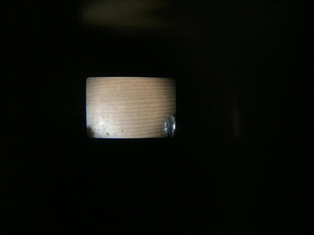 美品 動作確認済　Canon　AUTOBOY　SXL　ケース付き