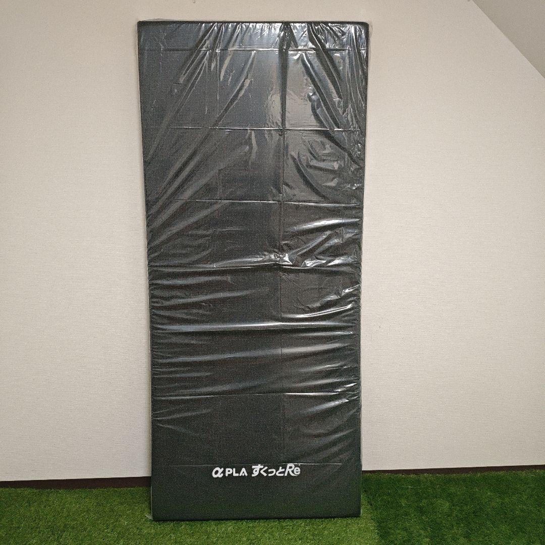 パラマウントベット　レント3モーター　　サイドレール　マット　3点セット　介護用
