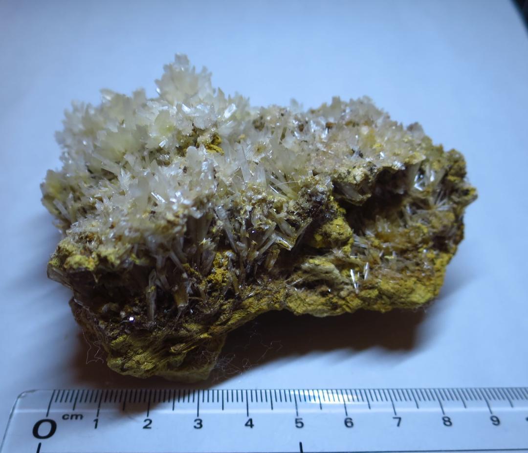 石膏　ジプサム　Gypsum　鉱物標本