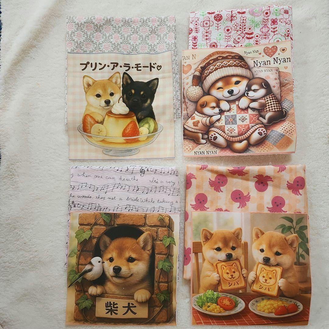 豆柴助