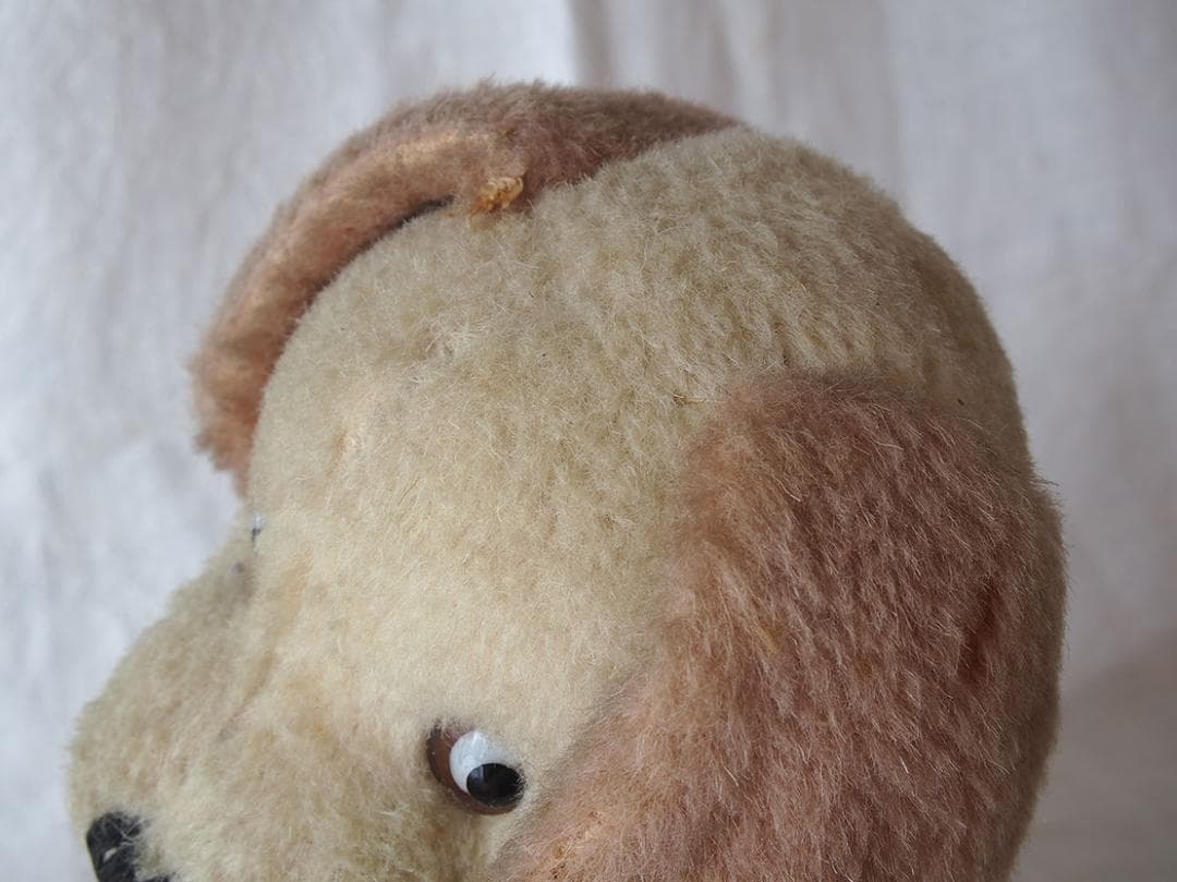 グラスアイとモヘアボディの犬 ぬいぐるみ 36cm 1930年代 /K454