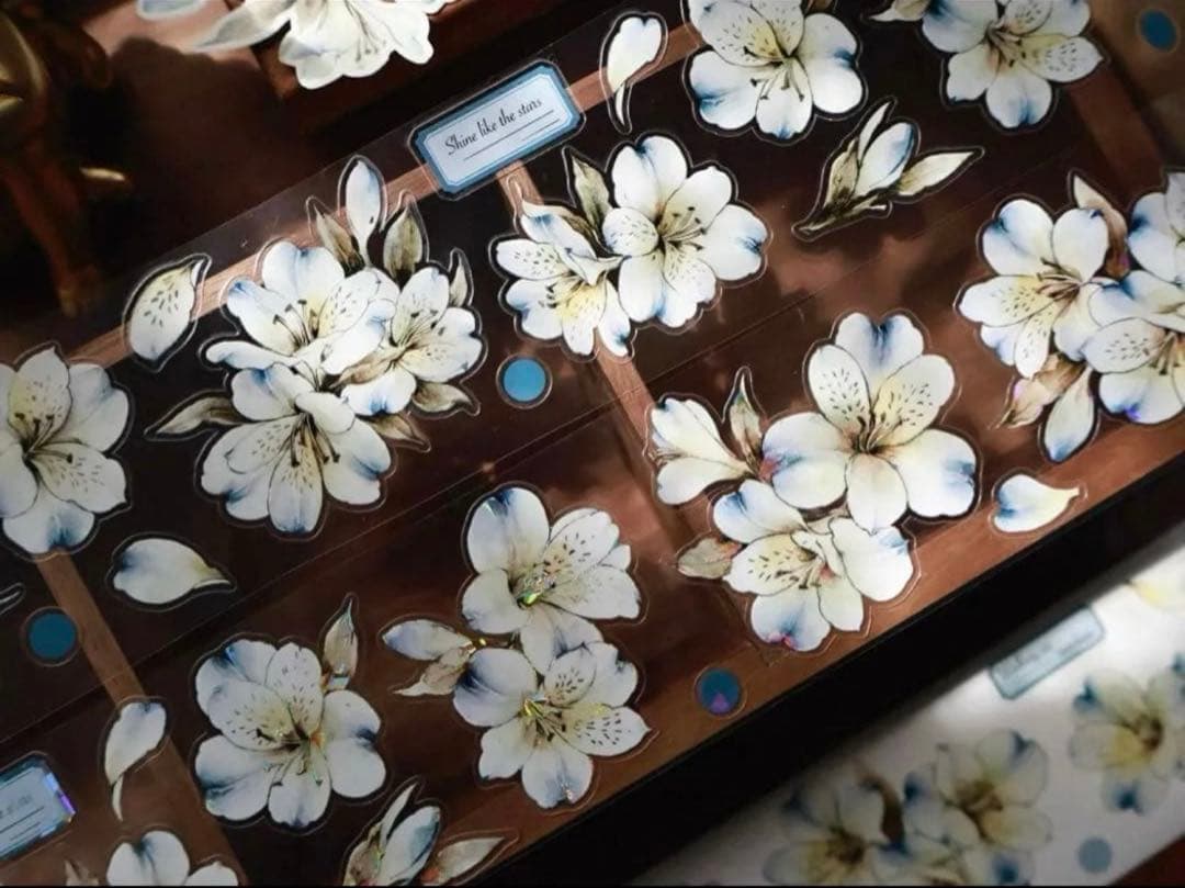 贝壳光 蓝屿六初 ダイカット加工 5.5cm×5m 海外マステ　花