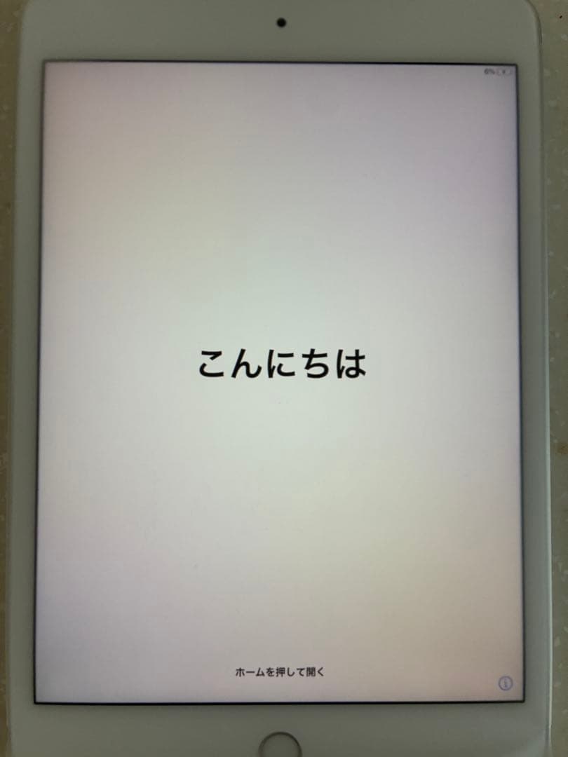 iPad本体 iPad mini Wi-Fi 256GB