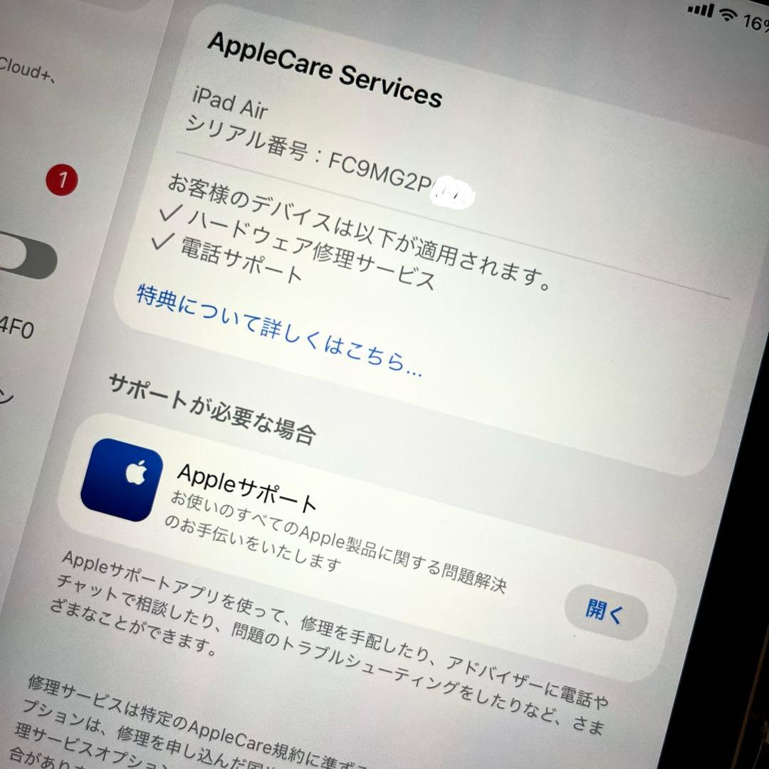 極美品 iPad Air M3 （11インチ）セルラーモデル　256GB