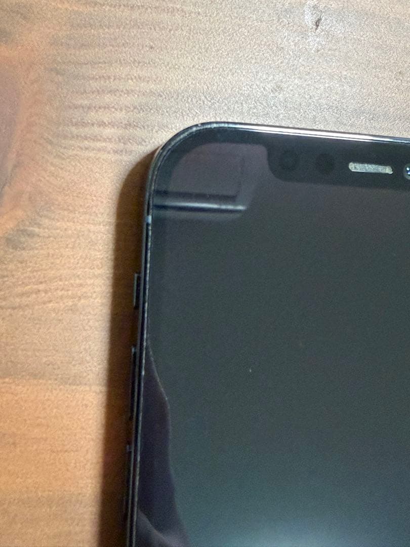 Apple iPhone 12 Pro 256GB パシフィックブルー ジャンク