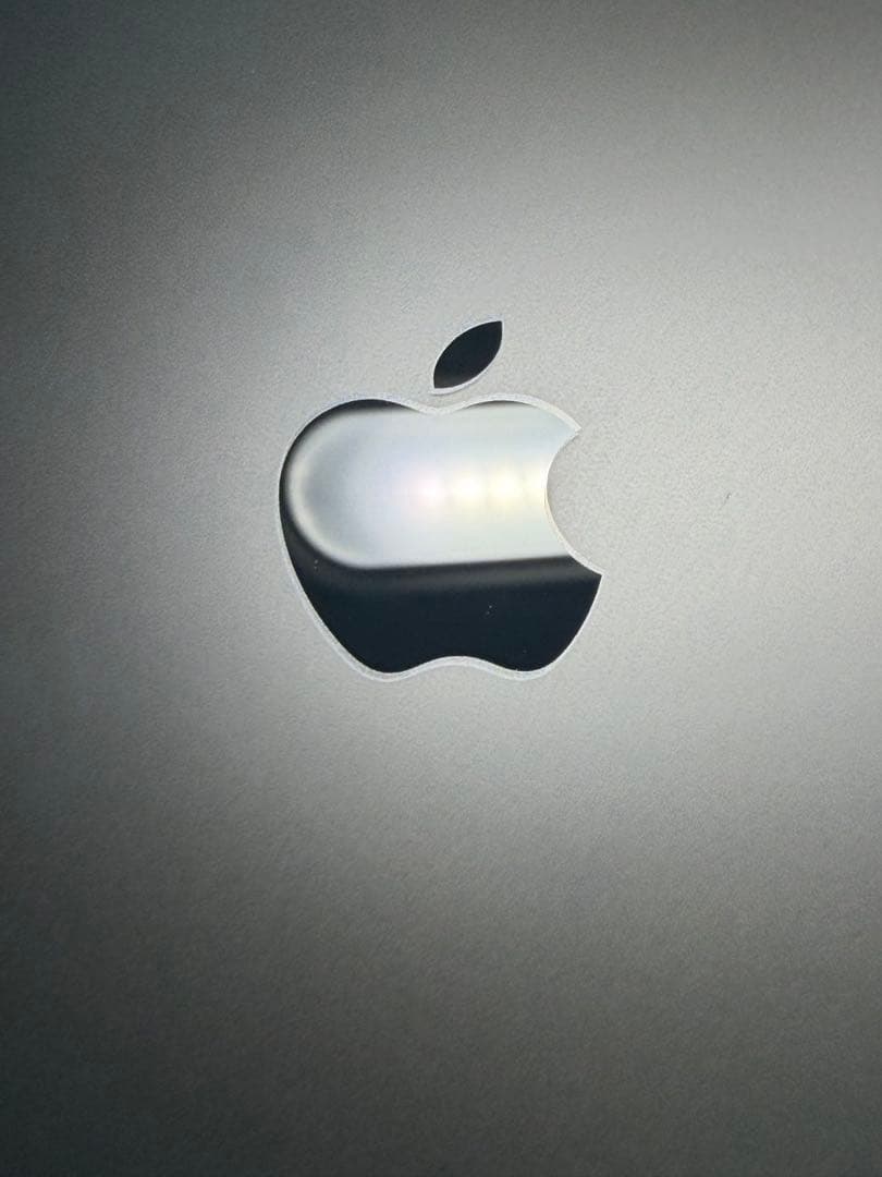 Apple iPhone 12 Pro 256GB パシフィックブルー ジャンク