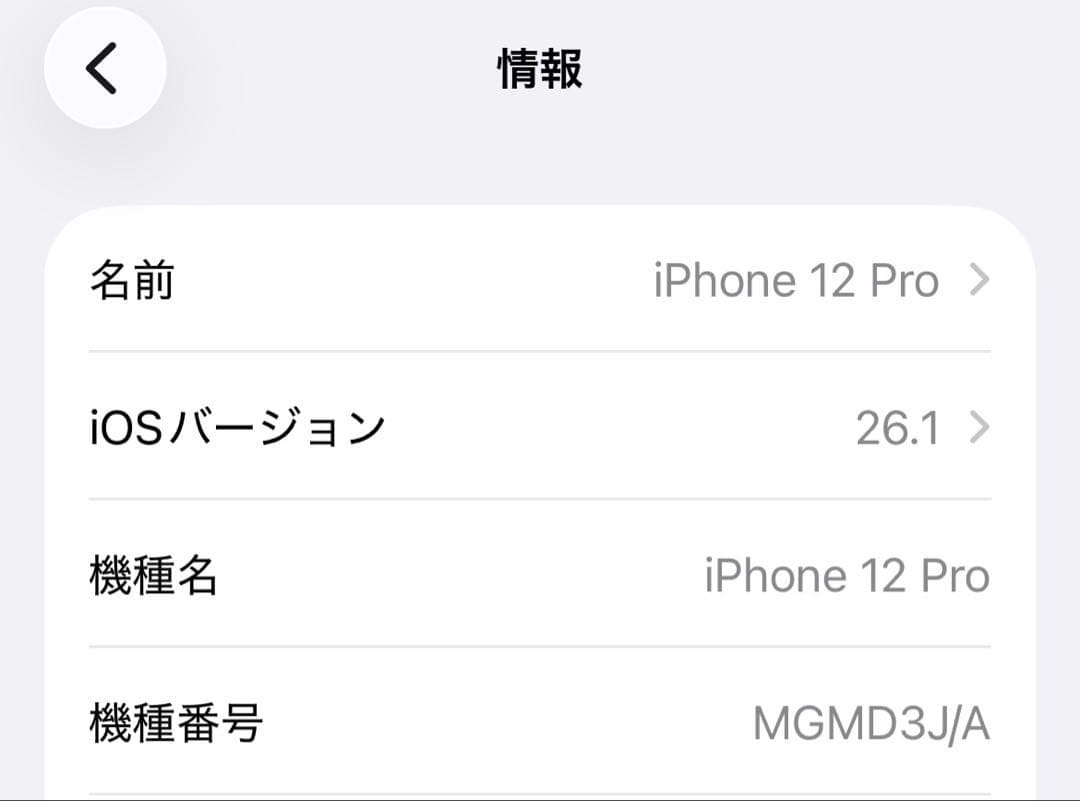Apple iPhone 12 Pro 256GB パシフィックブルー ジャンク