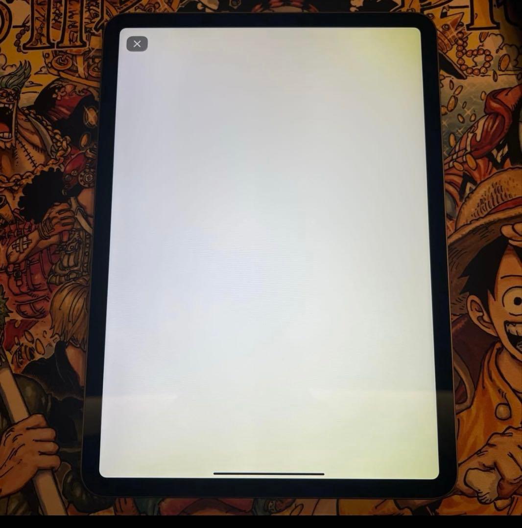 iPad Pro 11インチ 第2世代　512gb