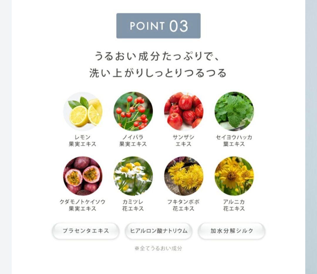 SALONIA 洗顔ブラシイオンフェイシャルブラシ＆エクストラクリーミーフォーム