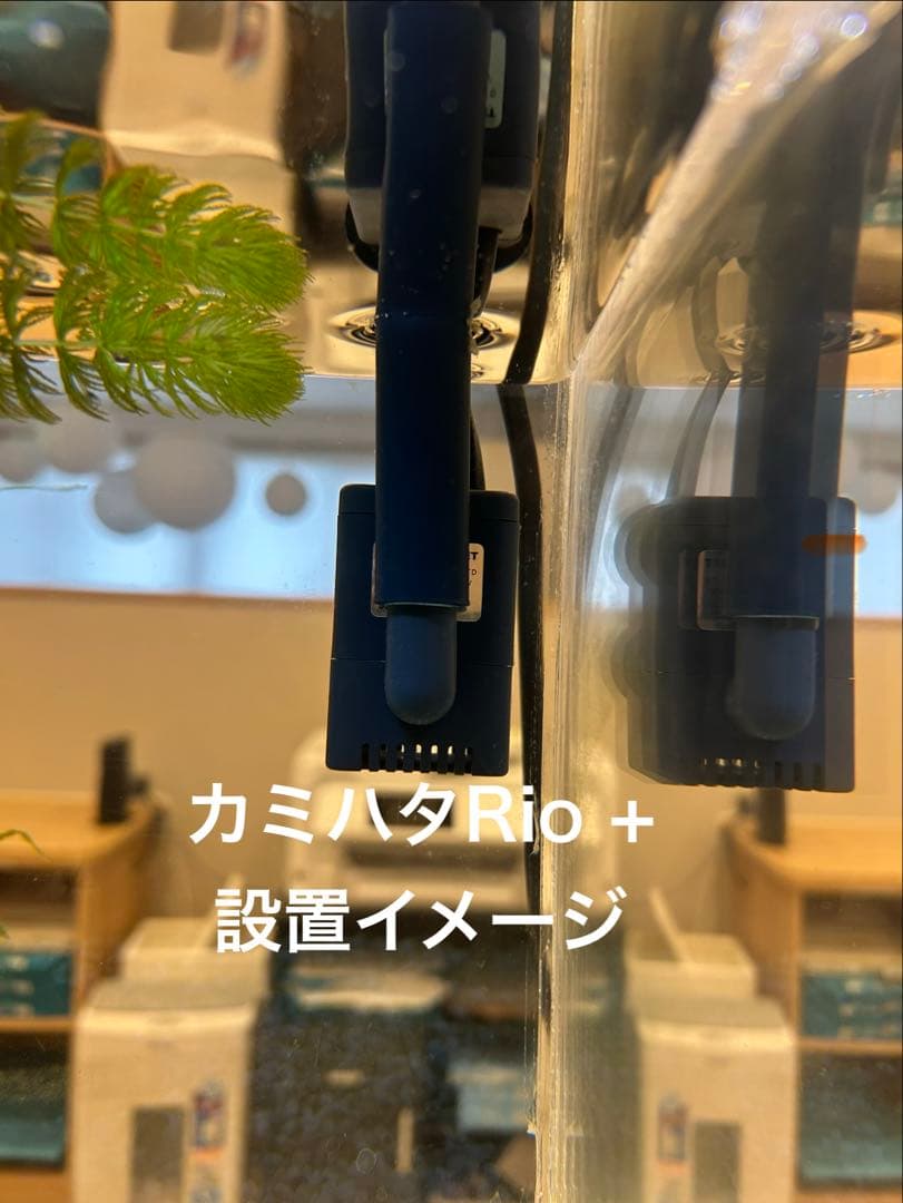 【訳あり】60㎝水槽用　上部濾過式アクアリウム水槽アクアポニックス仕様B