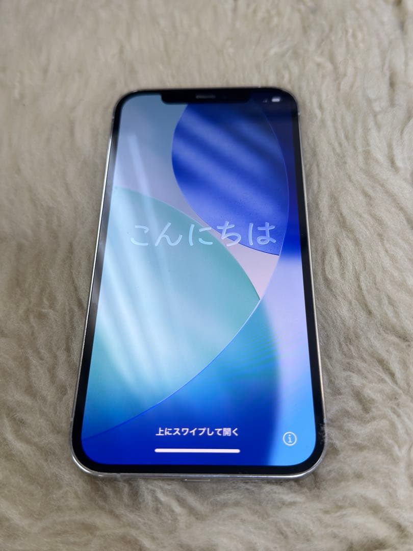 コーティング施工済Apple iPhone 12 Pro