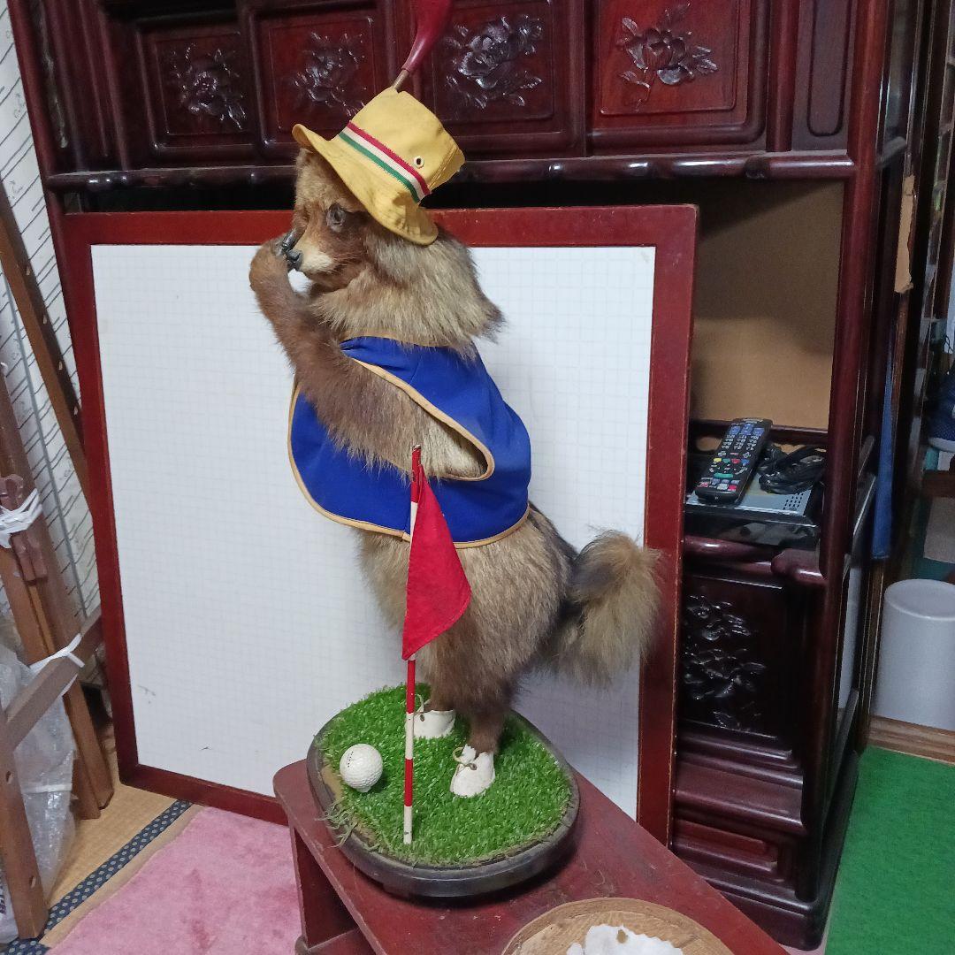 剥製、たぬき ゴルフフィギュア 青黄色衣装