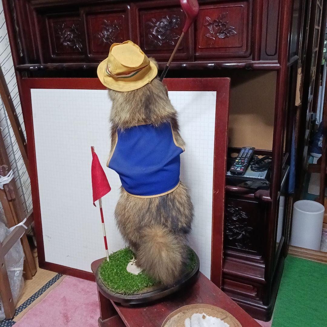 剥製、たぬき ゴルフフィギュア 青黄色衣装