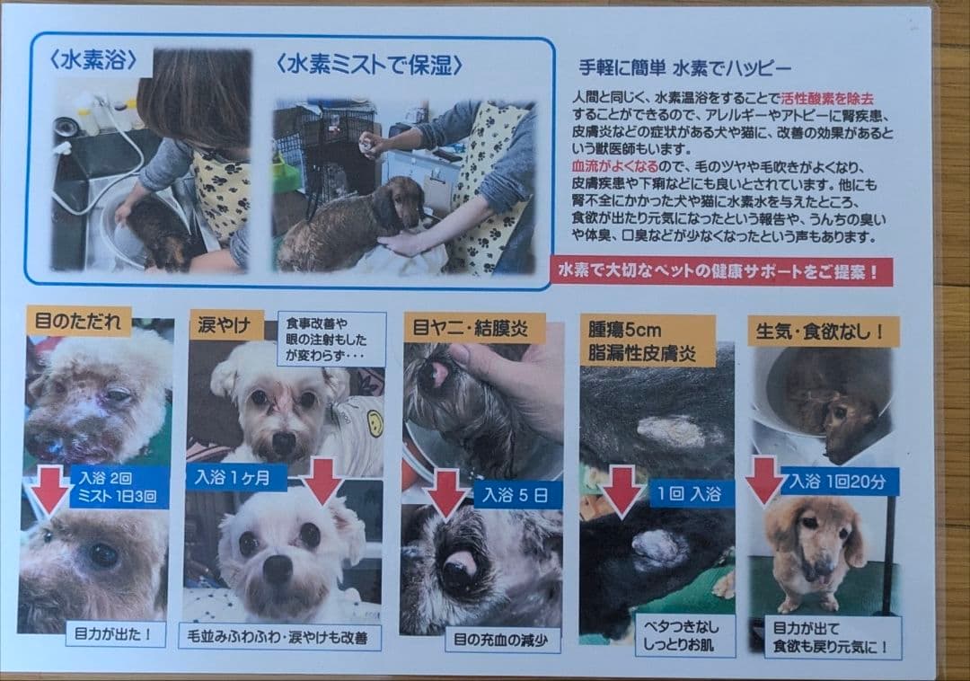 【超美品】 水素風呂 リタライフ ver.2【機能確認済】