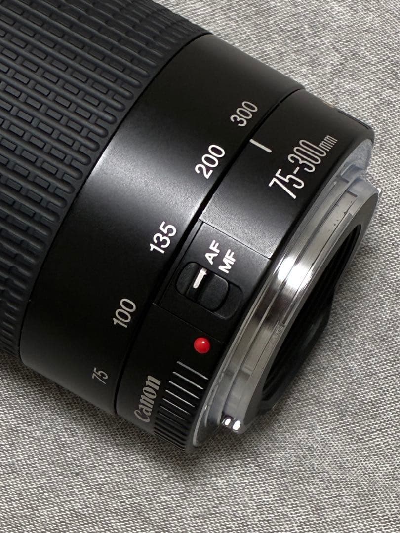 ⭐️美品⭐️ Canon EF 75-300mm F4-5.6 II USM 望遠