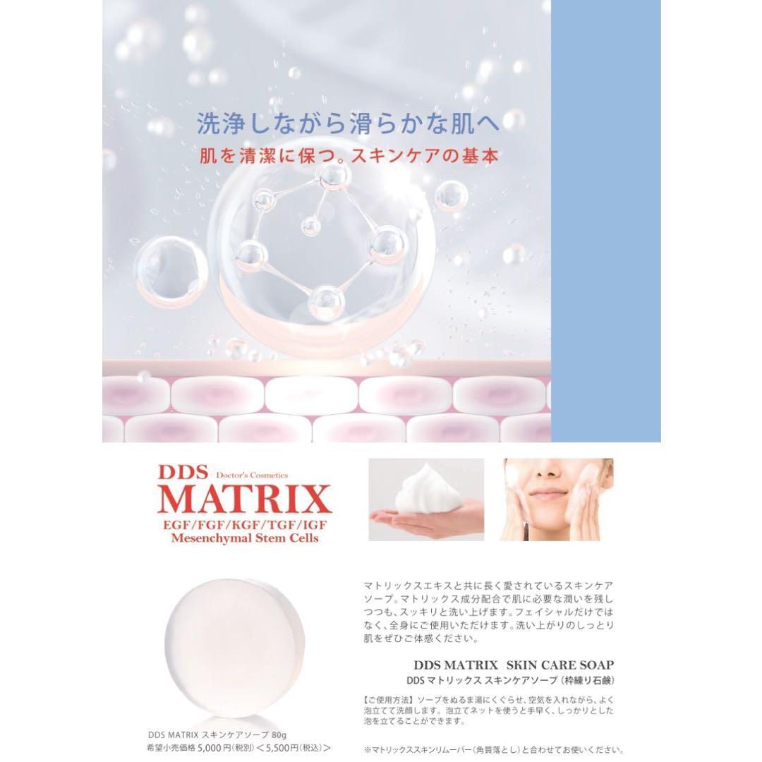 アースジャパン DDS マトリックス スキンケアソープ 幹細胞 アイテック無添加