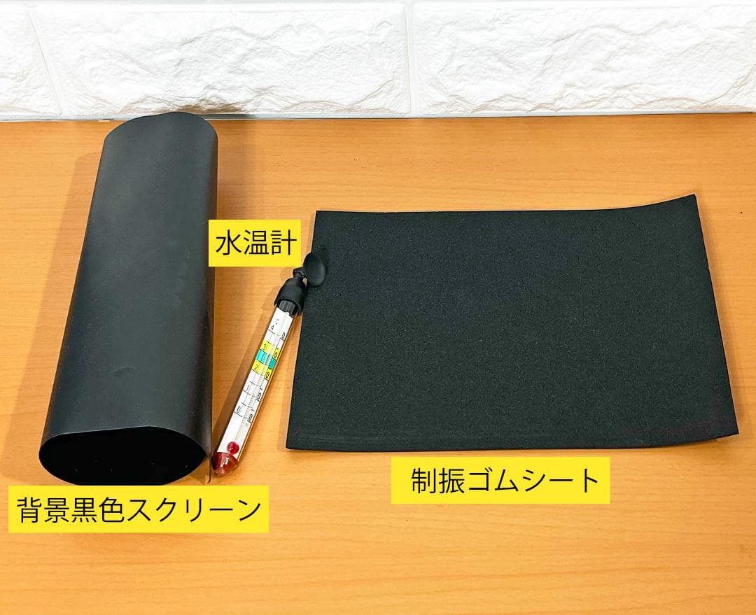 ユ*ケ様 めだか飼育オールインワンセット／GEXグラステリアメダカ横見Mサイズほ