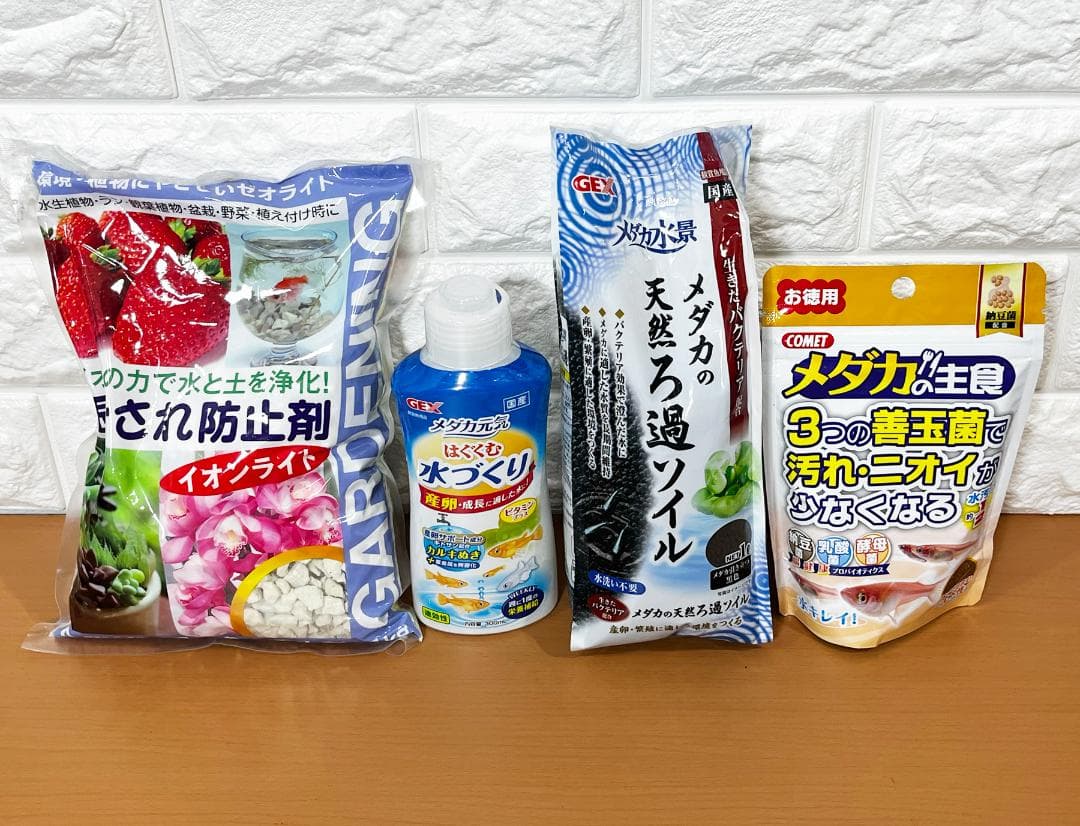 ユ*ケ様 めだか飼育オールインワンセット／GEXグラステリアメダカ横見Mサイズほ