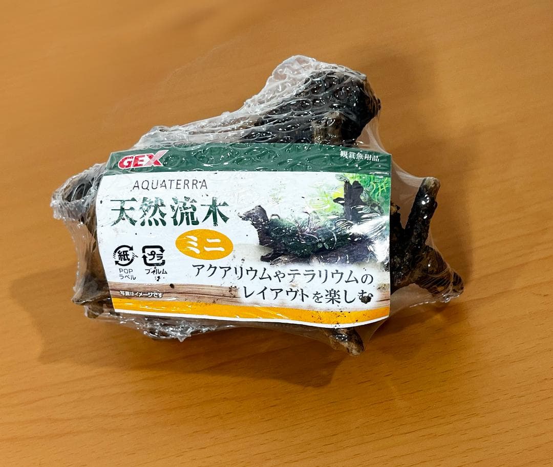 ユ*ケ様 めだか飼育オールインワンセット／GEXグラステリアメダカ横見Mサイズほ