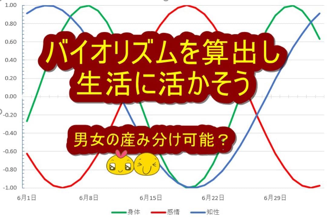 【稀少品！残り1個！】政木式バイオリズム計　政木和三　占い　運勢　健康　運命