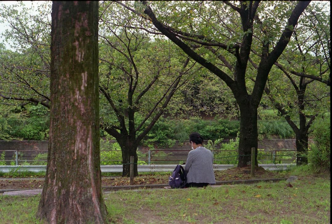 動作確認済み　ミノルタ　MINOLTA　X-7 　試写写真有り