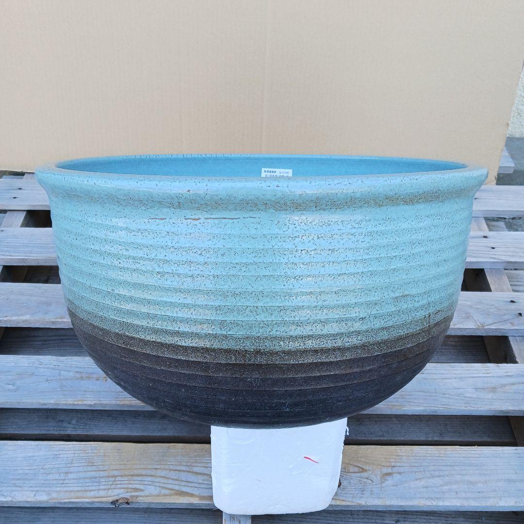 新品　∅50　陶器　睡蓮鉢　特大　難有　メダカ鉢　水色　ブルー　ルーバー　LWC