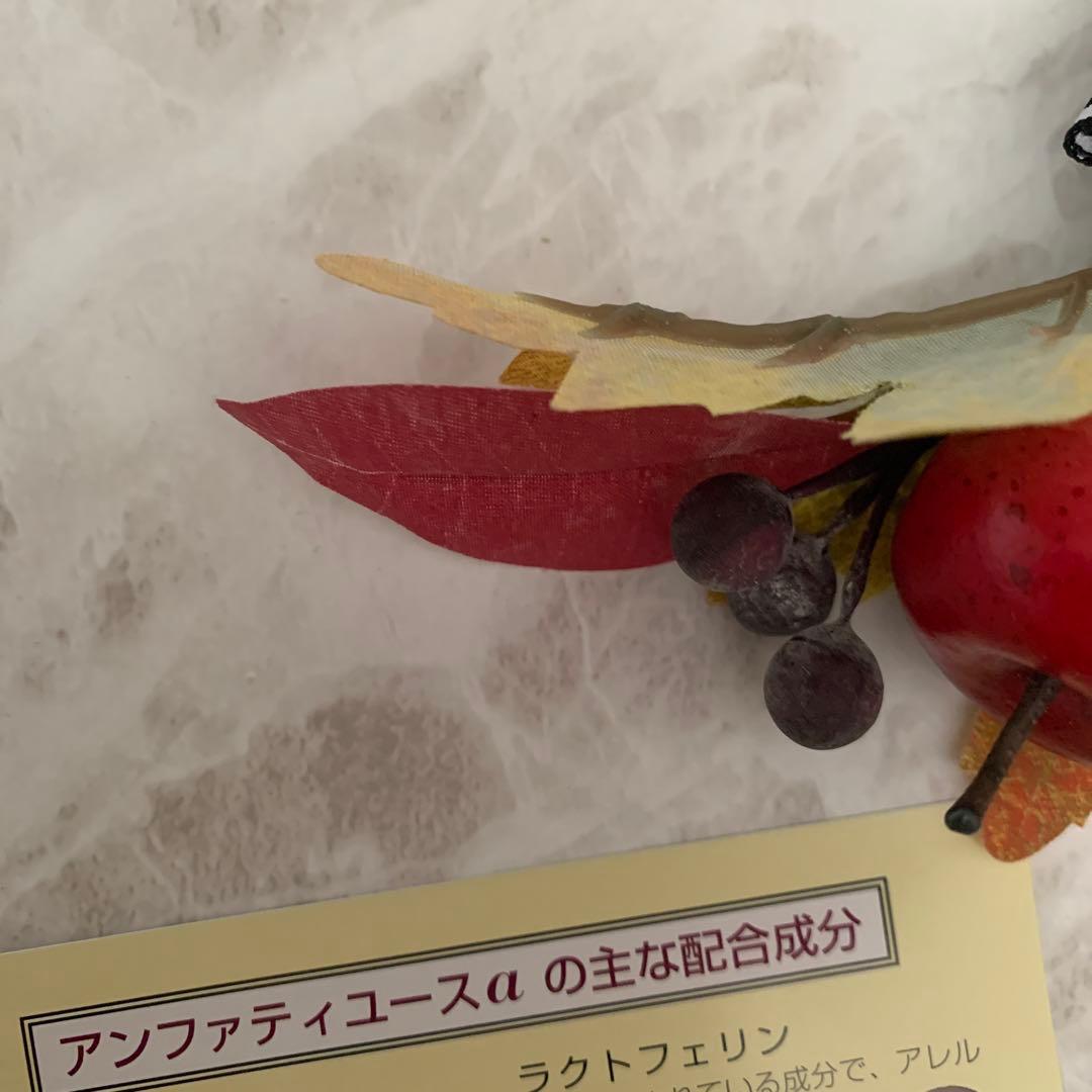 旧箱僅か☘️アンファテイ　ユースNA大エッセンスオイル各旧箱1計3